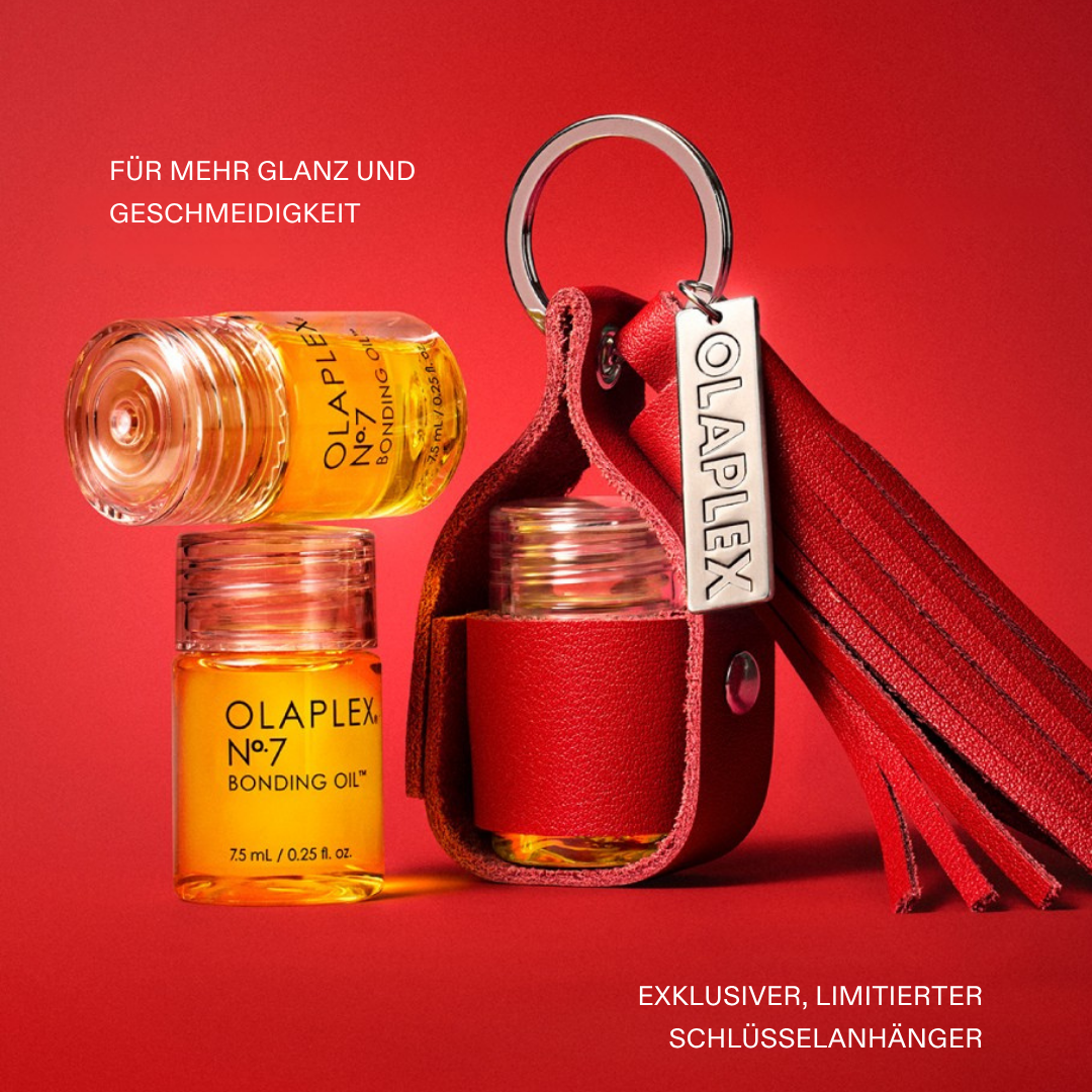 Original OLAPLEX® The Key to Shine Set
